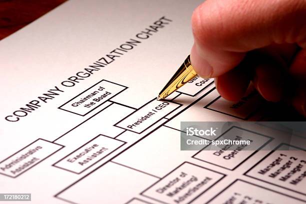 企業組織図 - 企業組織図のストックフォトや画像を多数ご用意 - 企業組織図, ビジネス, ビジネスパーソン