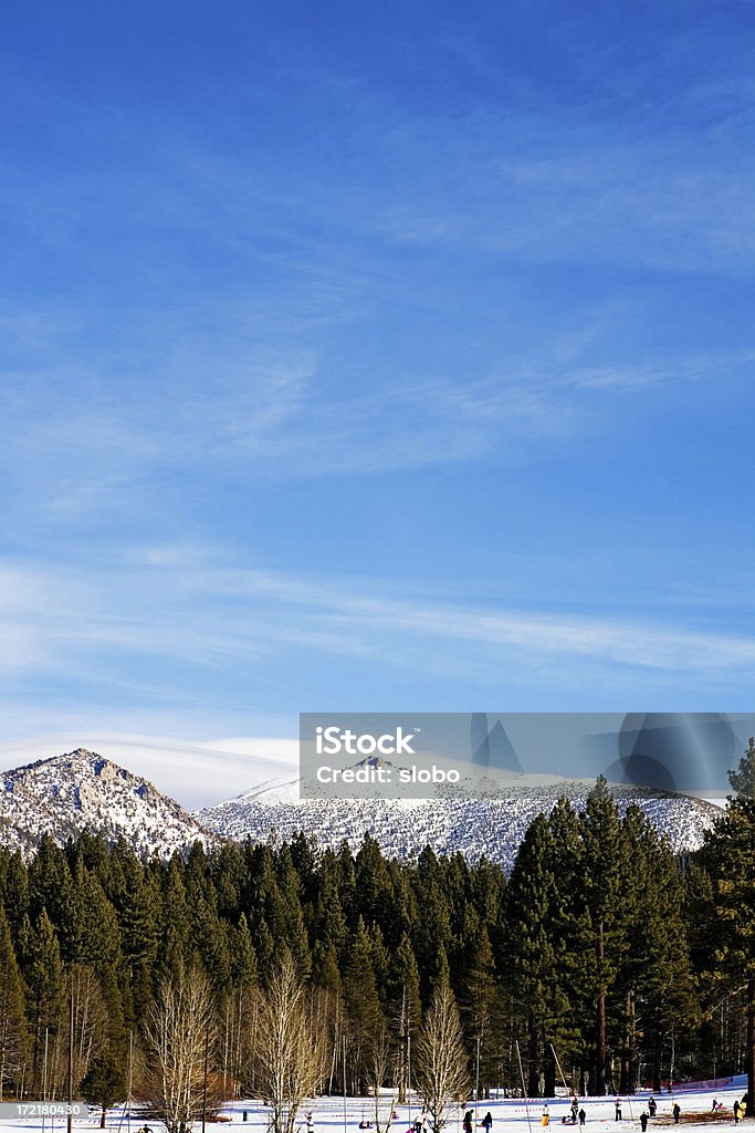 Persone sulla montagna di neve e gli alberi - Foto stock royalty-free di Albero