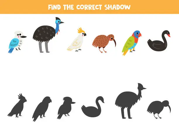 Vector illustration of Find shadows of cute Australian birds. Educational logical game for kids. Printable worksheet for preschoolers.