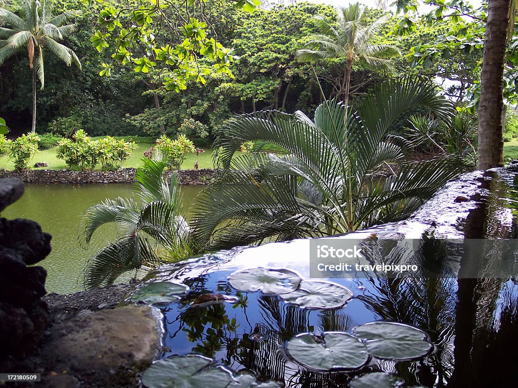 Atop a Waterfall "Looking over the edge of a waterfall down to an ancient fish pond in Hana, Maui, Hawaii, USA. The sky and clouds are reflected in the water atop the waterfall. Focus is on the palm in front of fall." Lake Stock Photo