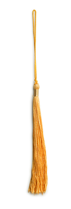 A gold graduation tassel on white with soft shadow.To see more of my education images click on the link below