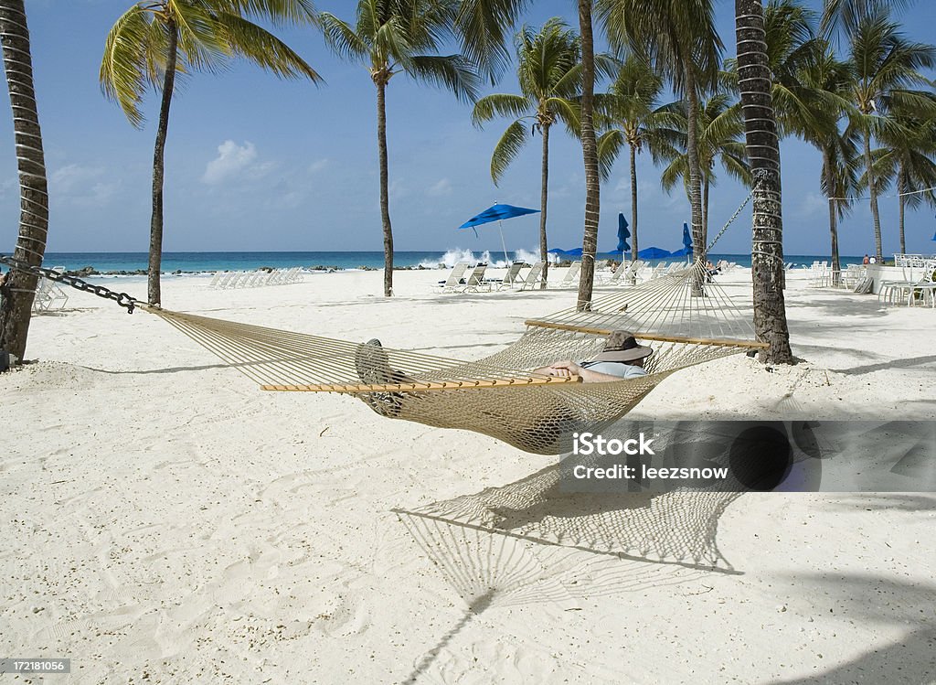 Amaca sulla spiaggia nei pressi di alberi di palma - Foto stock royalty-free di Adulto