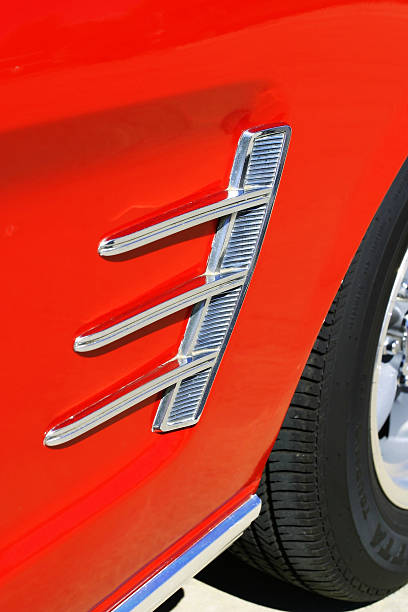 istock Mustang Detail 1 172181629
