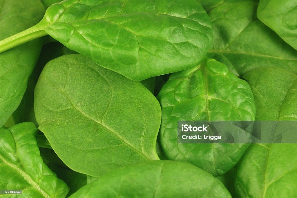 Spinach background Fresh young spinach leaves. Backgrounds Stock Photo