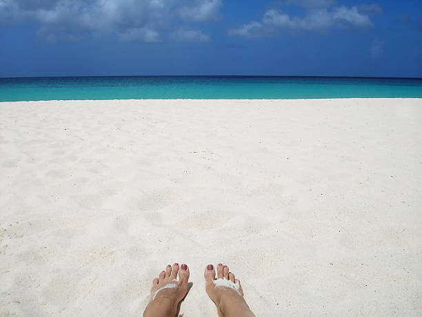 istock Find Your Place in the Sun 172181950