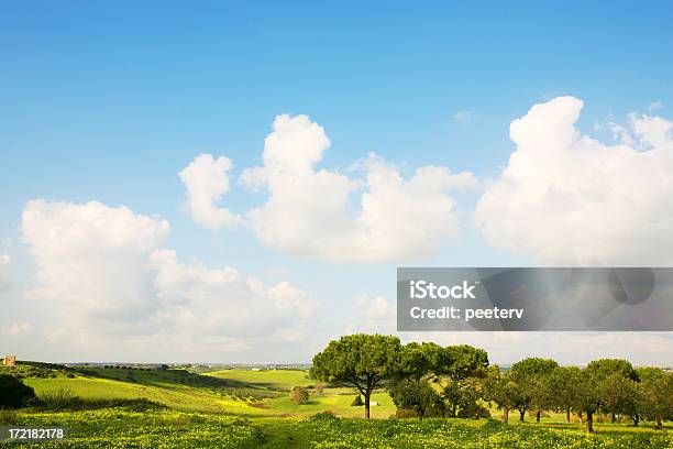 Paisagem Da Sicília - Fotografias de stock e mais imagens de Agricultura - Agricultura, Ajardinado, Ao Ar Livre