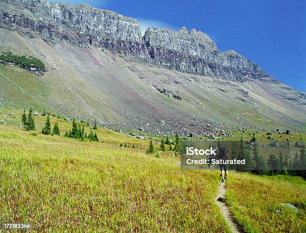 Wandern Durch Feld Und Berge Stockfoto und mehr Bilder von Montana - Montana, Wandern, Weg