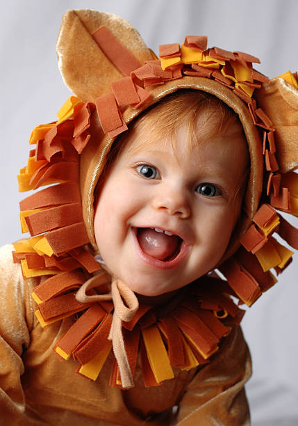 lion roaring gerne - costume halloween lion baby stock-fotos und bilder