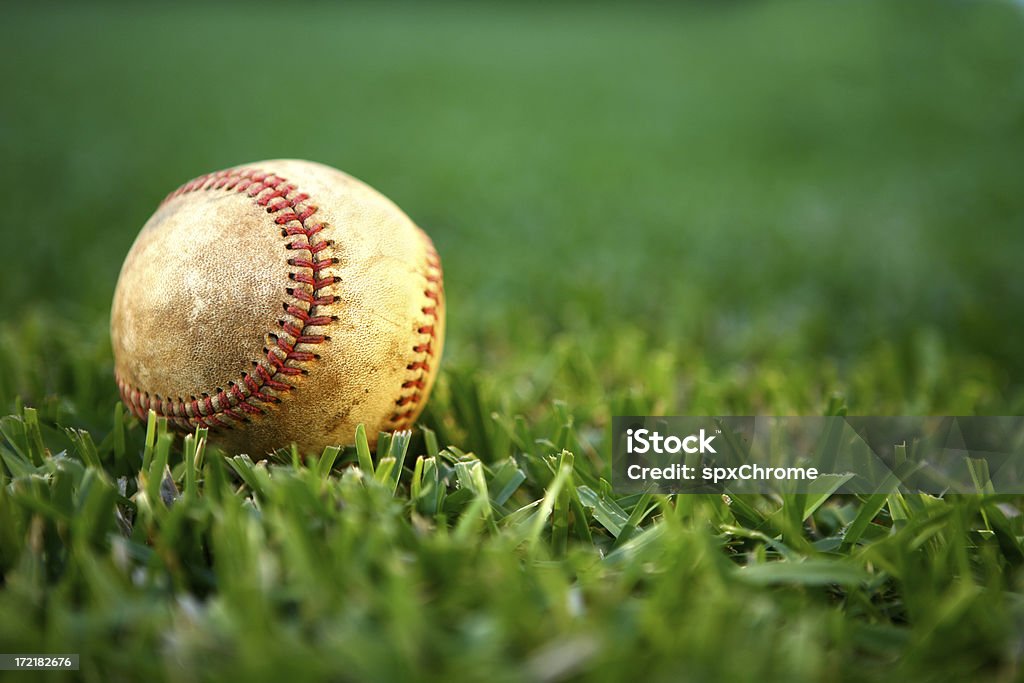 Spring Training Used baseball on fresh green grass. Baseball Spring Training Stock Photo