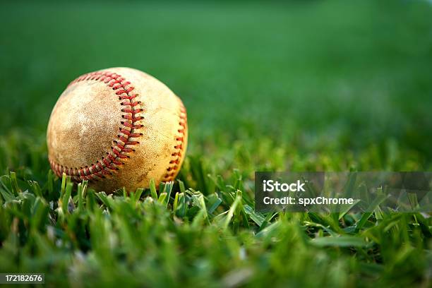 Spring Training Stock Photo - Download Image Now - Baseball Spring Training, Baseball - Ball, Baseball - Sport