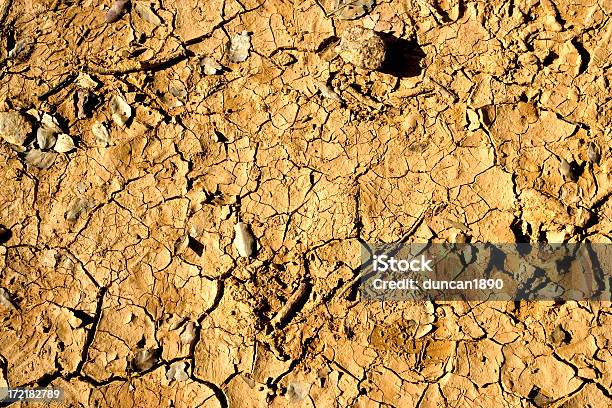 Foto de Rachado Terra e mais fotos de stock de Terra Diatomácea - Terra Diatomácea, Areia, Arruinado