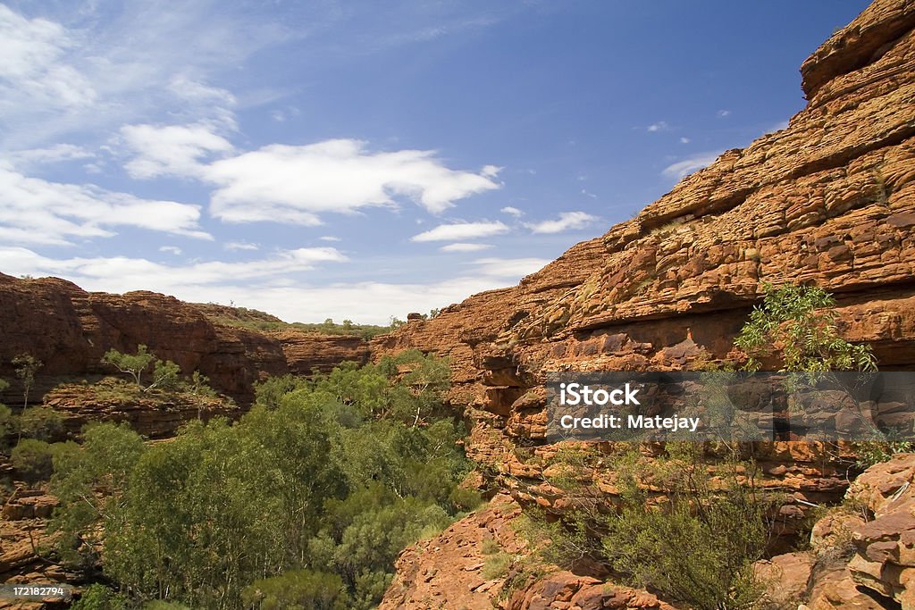Park Narodowy Kings Canyon Ogród Eden - Zbiór zdjęć royalty-free (Australia)