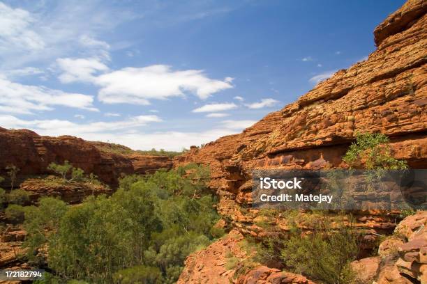 Park Narodowy Kings Canyon Ogród Eden - zdjęcia stockowe i więcej obrazów Australia - Australia, Czerwony, Przekrój poprzeczny