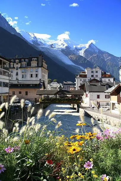 A DSLR picture of the city of Chamonix, France by a sunny morning. The mountain range of the Mont Blanc are in the background. A small river is going through some of the city's buildings. Some flowers are at the foreground of the image. 
