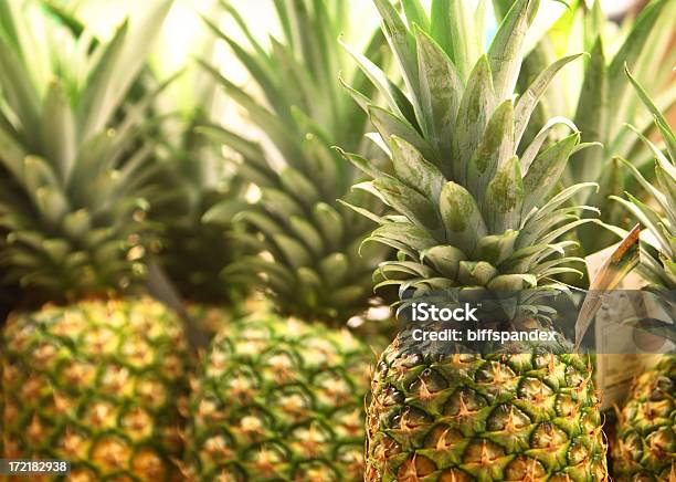 Nuevo Piña Foto de stock y más banco de imágenes de Piña - Piña, Negocio, Clima tropical