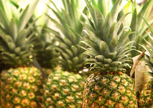 pineapples growing in the field is a very popular tropical fruit in Taiwan.
