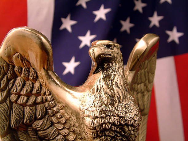 bronze eagle mit flagge - armed forces marines us marine corps navy stock-fotos und bilder