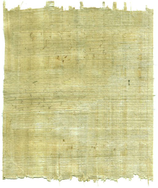 paper texture 5 - papyrus stock photo