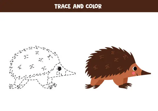 Vector illustration of Trace and color cute cartoon echidna. Worksheet for kids.