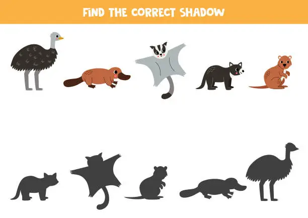 Vector illustration of Find shadows of cute Australian animals. Educational logical game for kids. Printable worksheet for preschoolers.