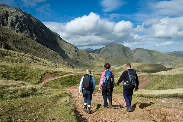 istock Lakeland landscape 172183827
