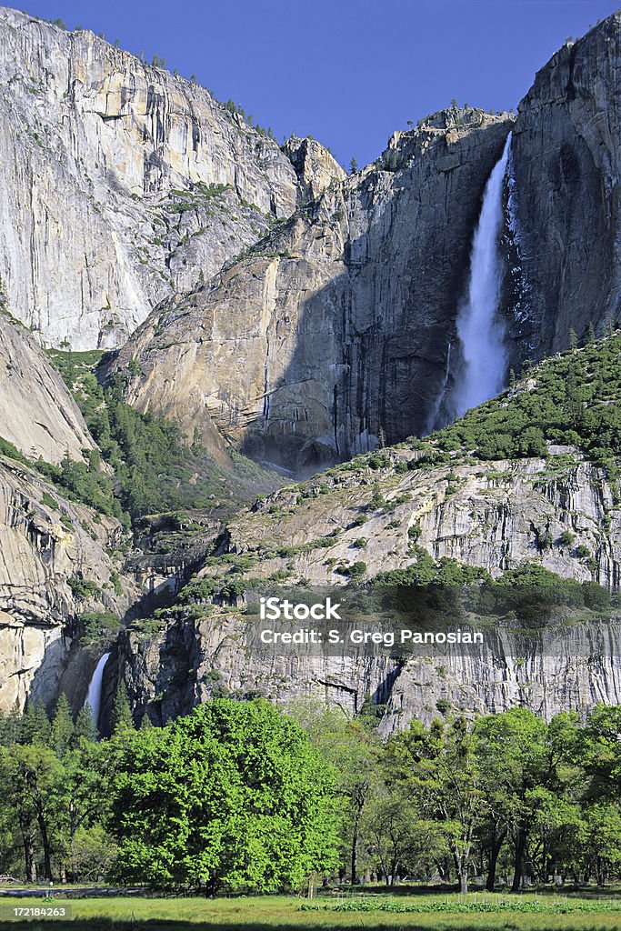 Cascate dello Yosemite in primavera - Foto stock royalty-free di Albero