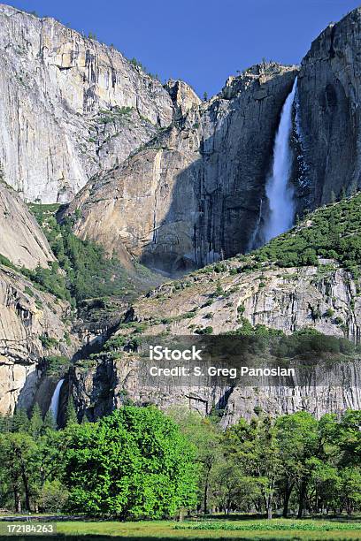 Cascate Dello Yosemite In Primavera - Fotografie stock e altre immagini di Albero - Albero, Ambientazione esterna, California