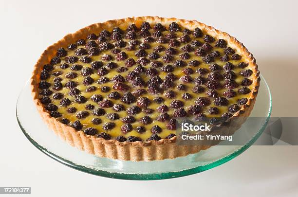 Conjunto De Tarta De Arándanos Foto de stock y más banco de imágenes de Al horno - Al horno, Comida francesa, Comida gourmet