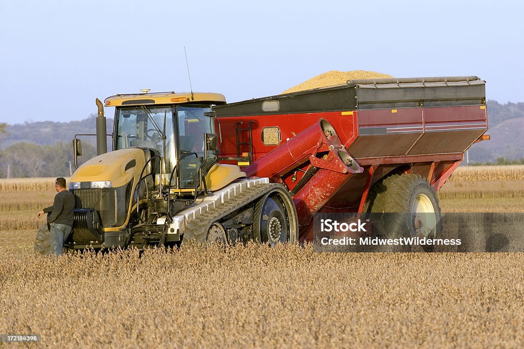 Tracteur - Photo de Graine de soja libre de droits