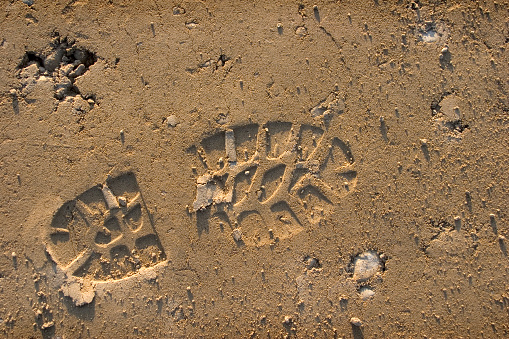 Footprints in the fine sand on the beach on an island