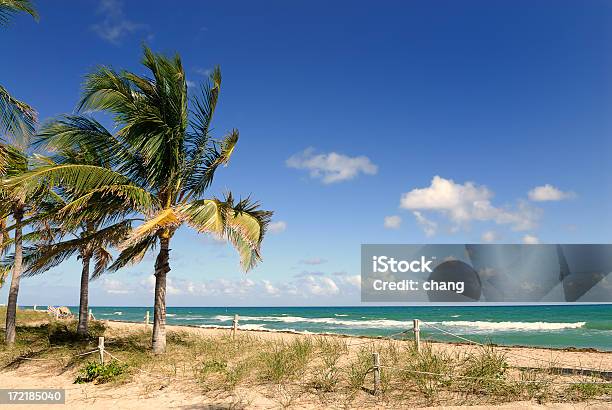 Beautiful Landscape View Of Fort Lauderdale Beach Stock Photo - Download Image Now - Beach, Fort Lauderdale, Blue