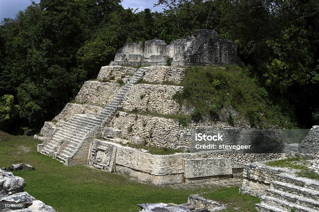 Piramida Majów, Caracol, Belize - Zbiór zdjęć royalty-free (Ameryka)