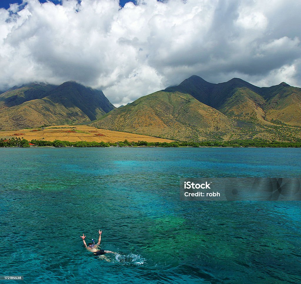 Nadar en el paraíso - Foto de stock de Buceo con tubo libre de derechos