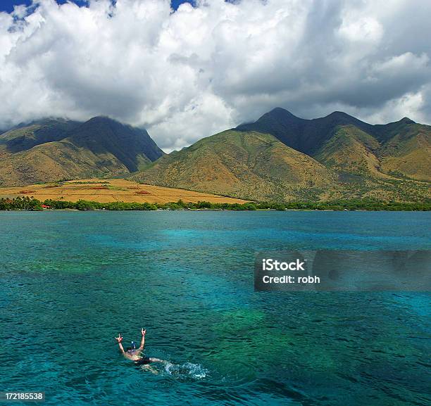 Nadar En El Paraíso Foto de stock y más banco de imágenes de Buceo con tubo - Buceo con tubo, Maui, Actividad