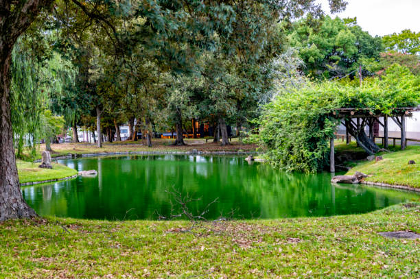 istock A lake in Nara, Japan 1721856167