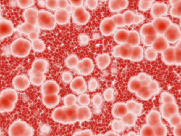 Bloodcells magnified Detail of magnified blood cells. Part of blood cell photos stock pictures, royalty-free photos & images