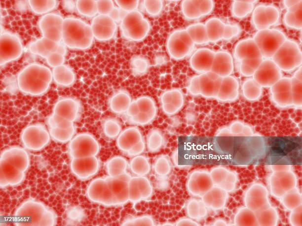 Bloodcells Ampliada - Fotografias de stock e mais imagens de Célula sanguínea - Célula sanguínea, Glóbulo Vermelho, Ampliação
