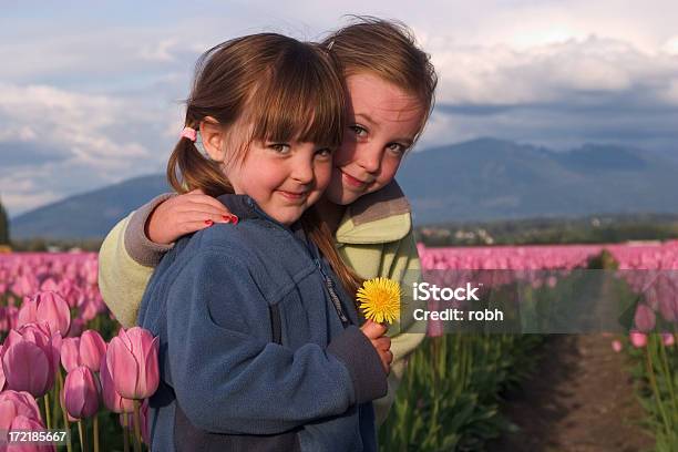 Caminho De Vida - Fotografias de stock e mais imagens de Alegria - Alegria, Amarelo, Anoitecer