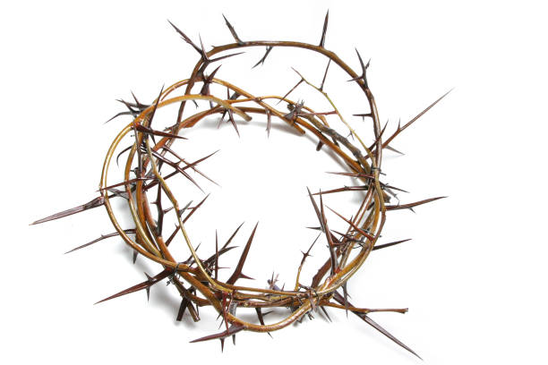 istock Bible Series Crown of Thorns 172185801