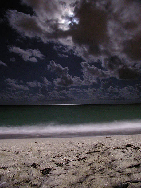 Beach Night stock photo
