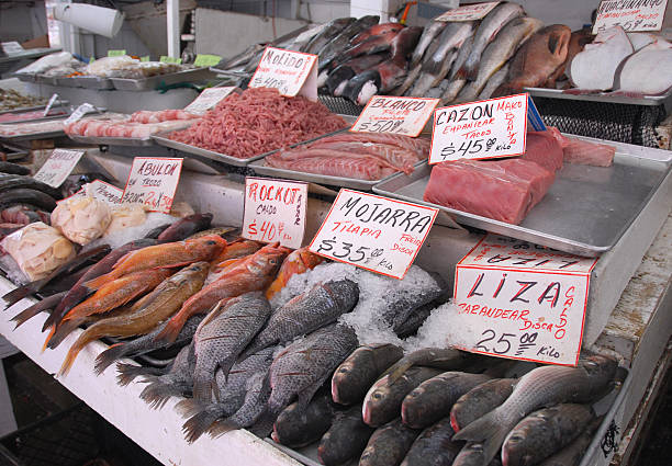 istock Fish Market in Ensenada, Mexico 172185983