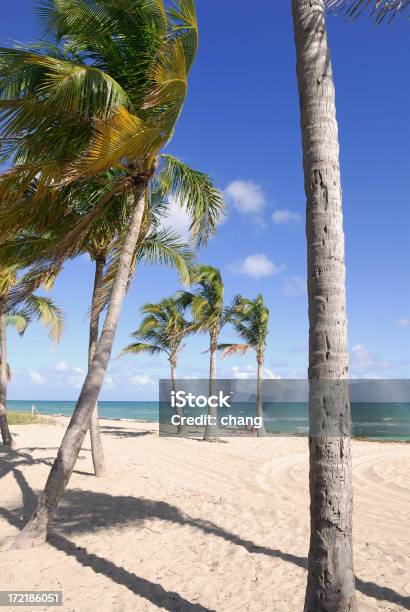 Пляж Фортлодердейл — стоковые фотографии и другие картинки Блестящий - Блестящий, Вертикальный, Вода