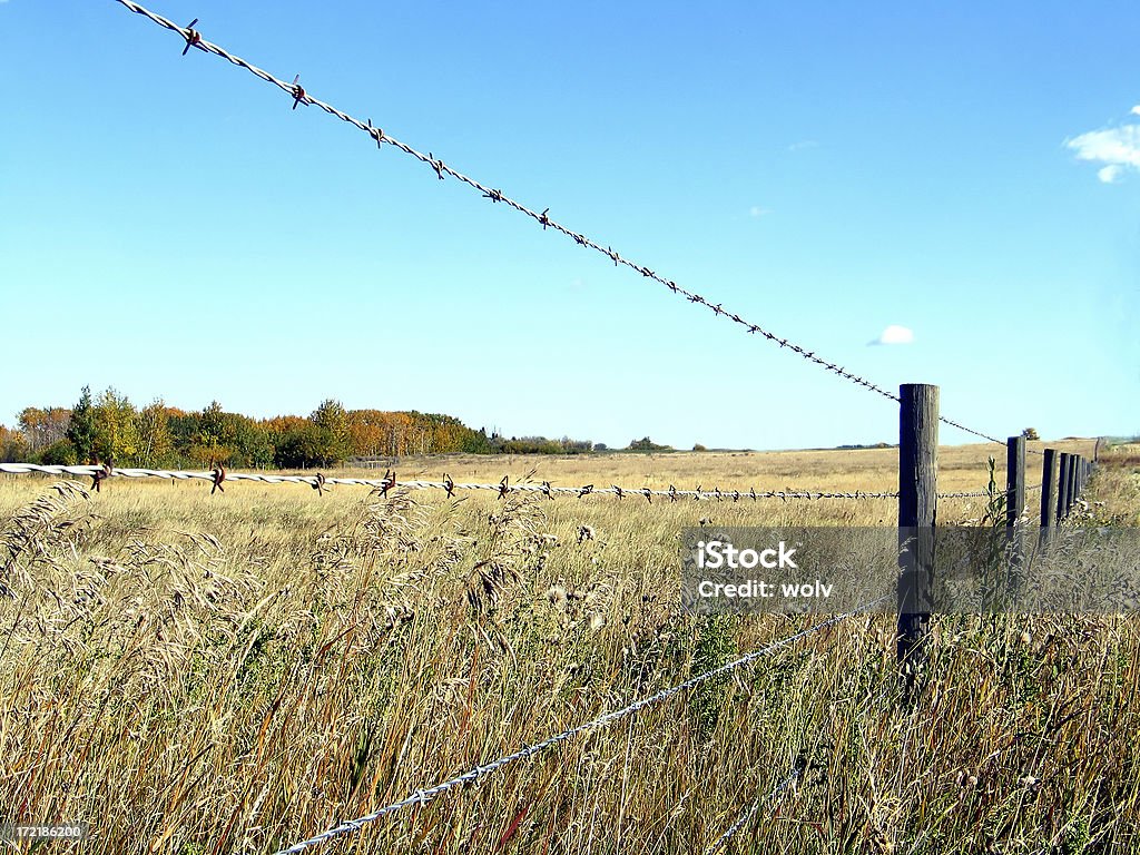 Terras no outono atrás barbwire muro - Foto de stock de Antigo royalty-free