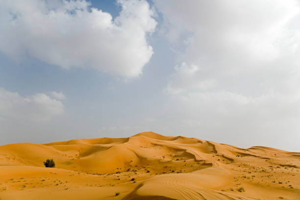 istock Beautiful Desert Landscape 172186353