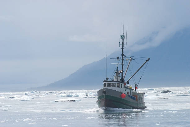Fishing Trawlerr in Northern Ice Filled Water Fishing Boat in Prince William Sound prince william sound photos stock pictures, royalty-free photos & images