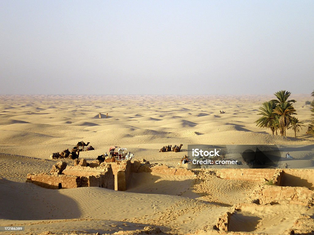 Desert oasis A break in the desert. 4x4 Stock Photo