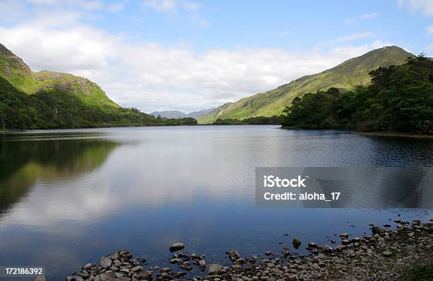 Belo Lago Na Irlanda - Fotografias de stock e mais imagens de Cor verde - Cor verde, Encosta, Admirar a Vista