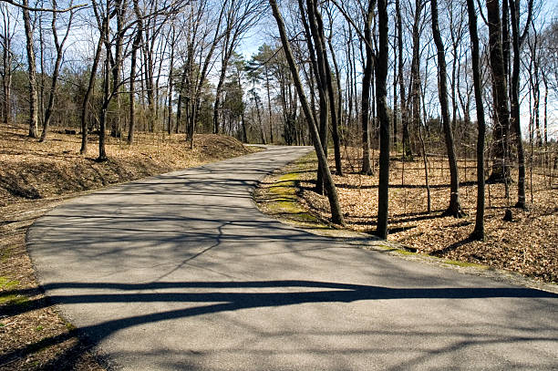 istock S Curved Road on Wooded Hill 1 172186898