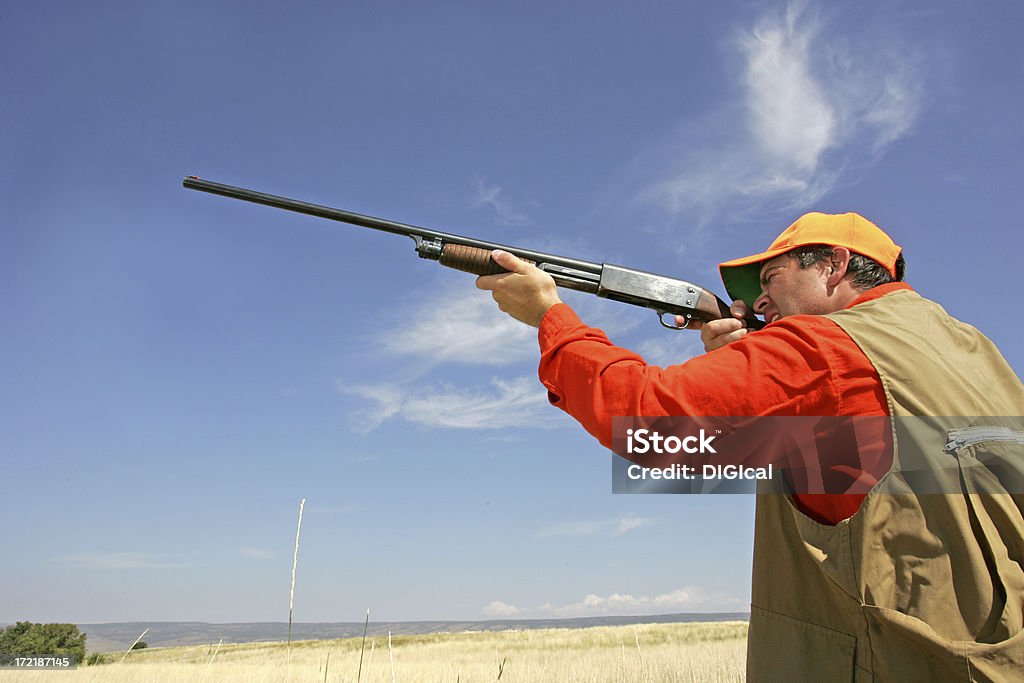 Serie caza de pájaros - Foto de stock de 30-39 años libre de derechos