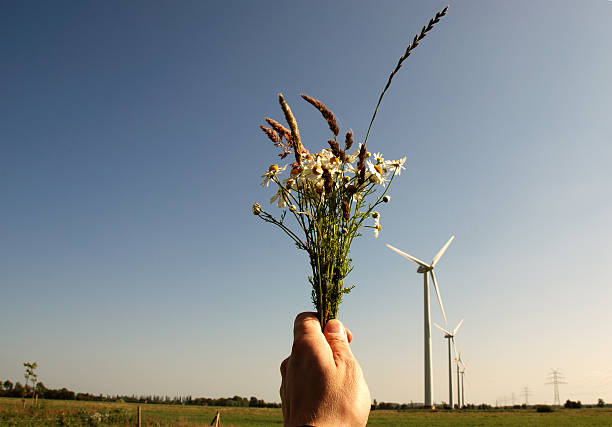 keep it clean fieldflowers and four windmills in a row. bioremediation stock pictures, royalty-free photos & images
